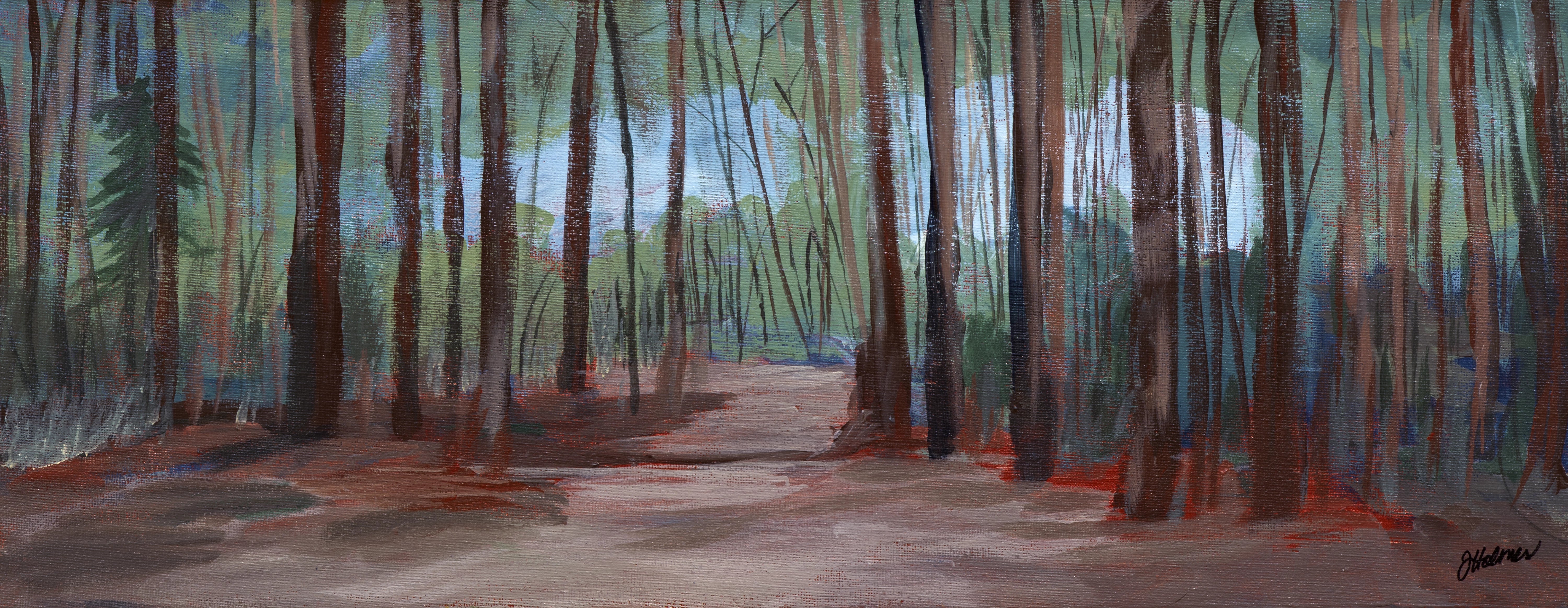 Promenade en forêt